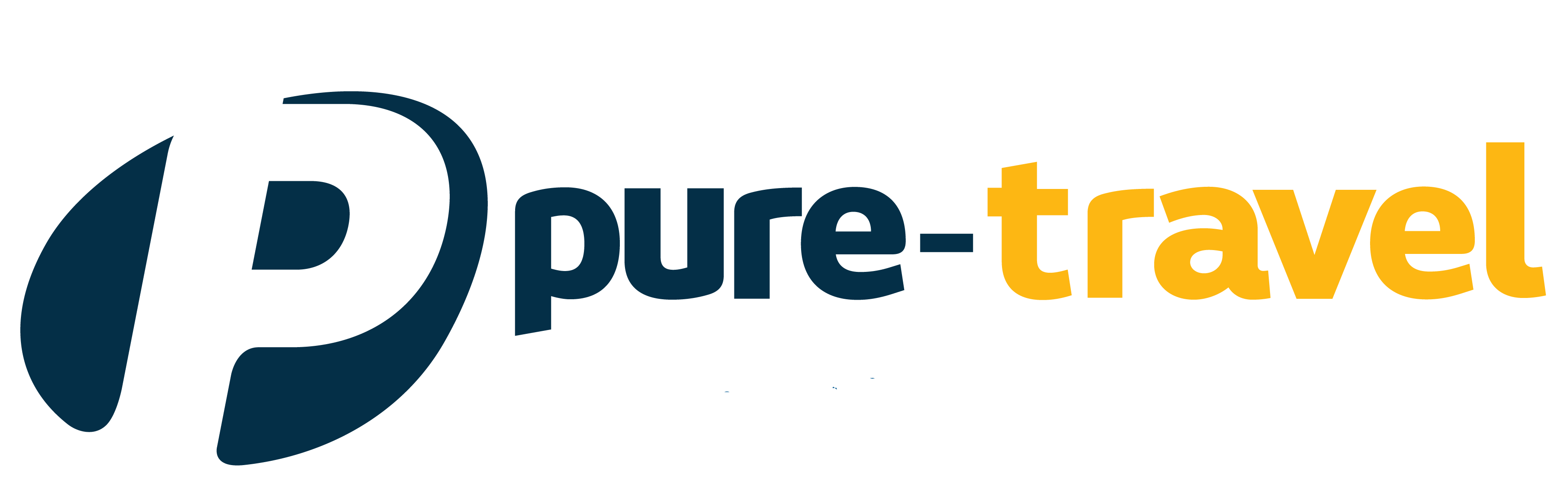 Pure travel logo